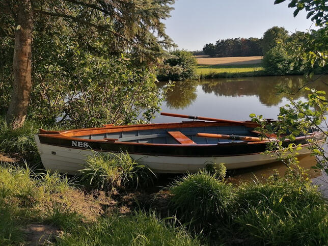 Ruderboot am Natursee Ein traditionelles Ruderboot liegt am Ufer eines ruhigen Sees, umgeben von Wiesen, Bäumen und einer idyllischen Naturlandschaft.